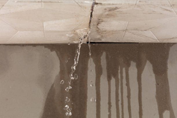 Professional Water Damage Repair technician working in Rosholt, WI